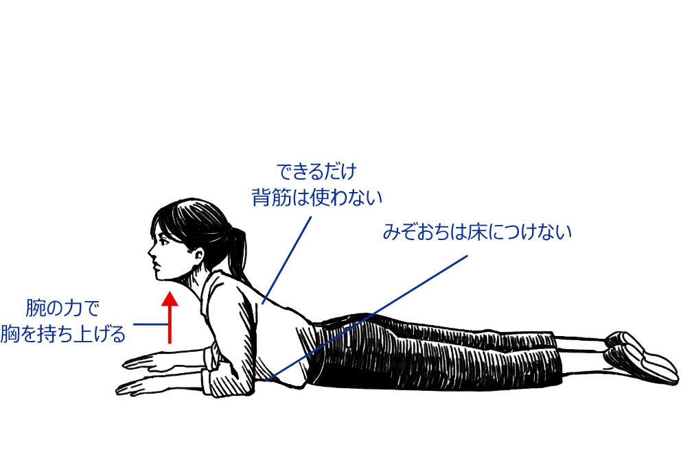 腕の力で胸を持ち上げる できるだけ背筋は使わない みぞおちは床につけない