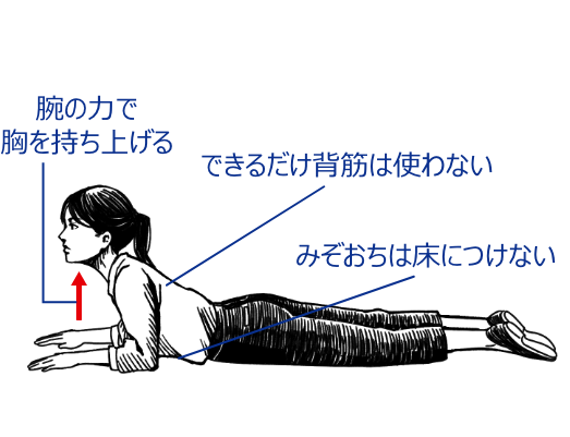 腕の力で胸を持ち上げる できるだけ背筋は使わない みぞおちは床につけない