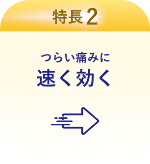 特長2 つらい痛みに速く効く※4