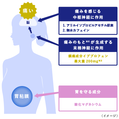作用イメージ