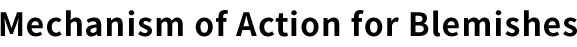 Mechanism of Action for Blemishes