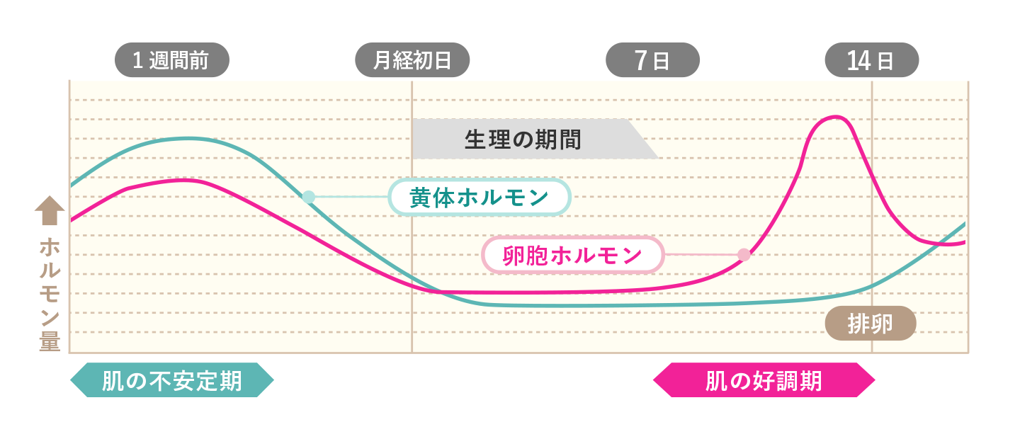 生理前後のホルモンバランス